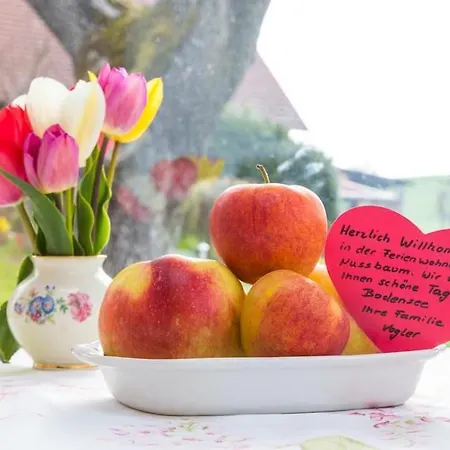 Haus Nussbaum Apartment